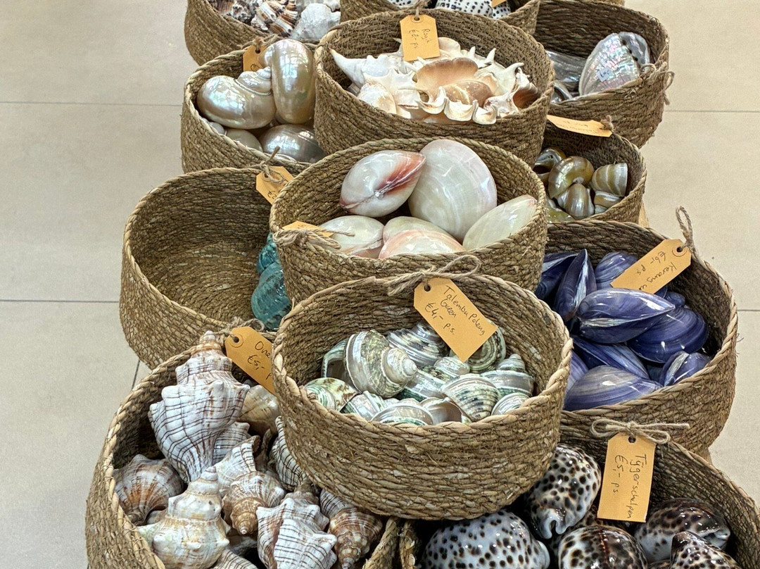 GeoRockShop aan Zee-Egmond aan Zee必去景点