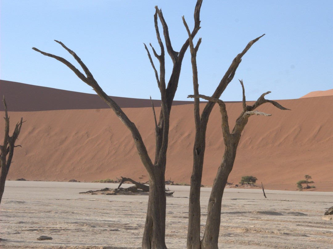 Deadvlei-苏丝斯黎必去景点