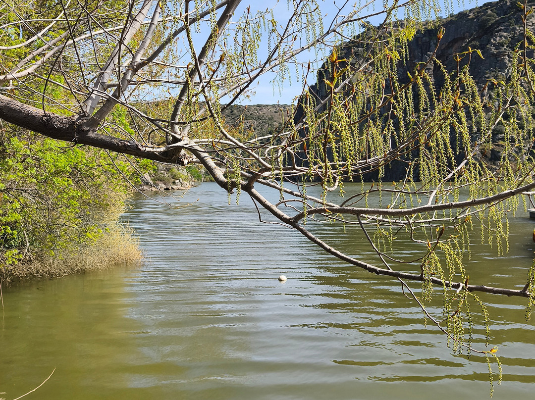 Europarques-萨莫拉必去景点