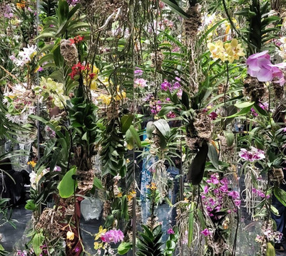 teamLab Planets TOKYO-Toyosu必去景点