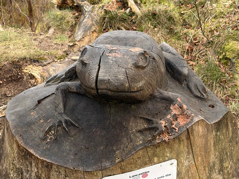 Beacon Fell Country Park-Goosnargh必去景点