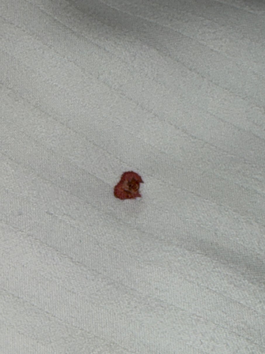 Margarita Hotel-官方