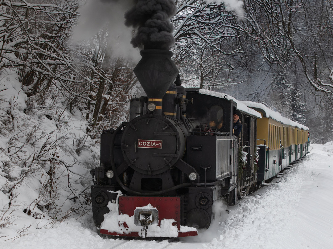 Mocanita Maramures - Viseu De Sus-Viseu de Sus必去景点