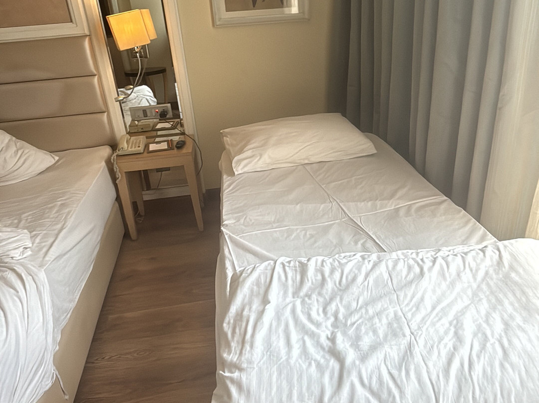 赖布尔辛哈尼亚萨罗瓦门廊酒店主图