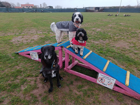 Winterton Hound Ground-Winterton-on-Sea必去景点