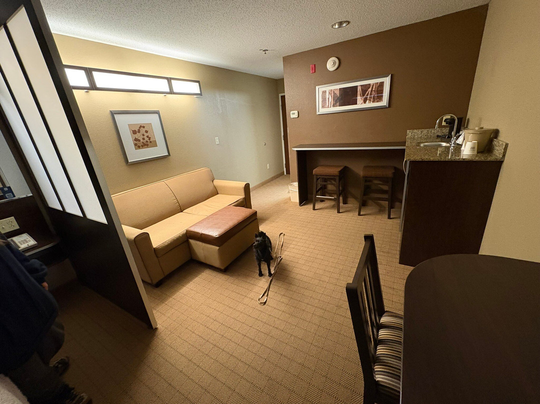 圣克莱尔维尔麦客达套房酒店主图