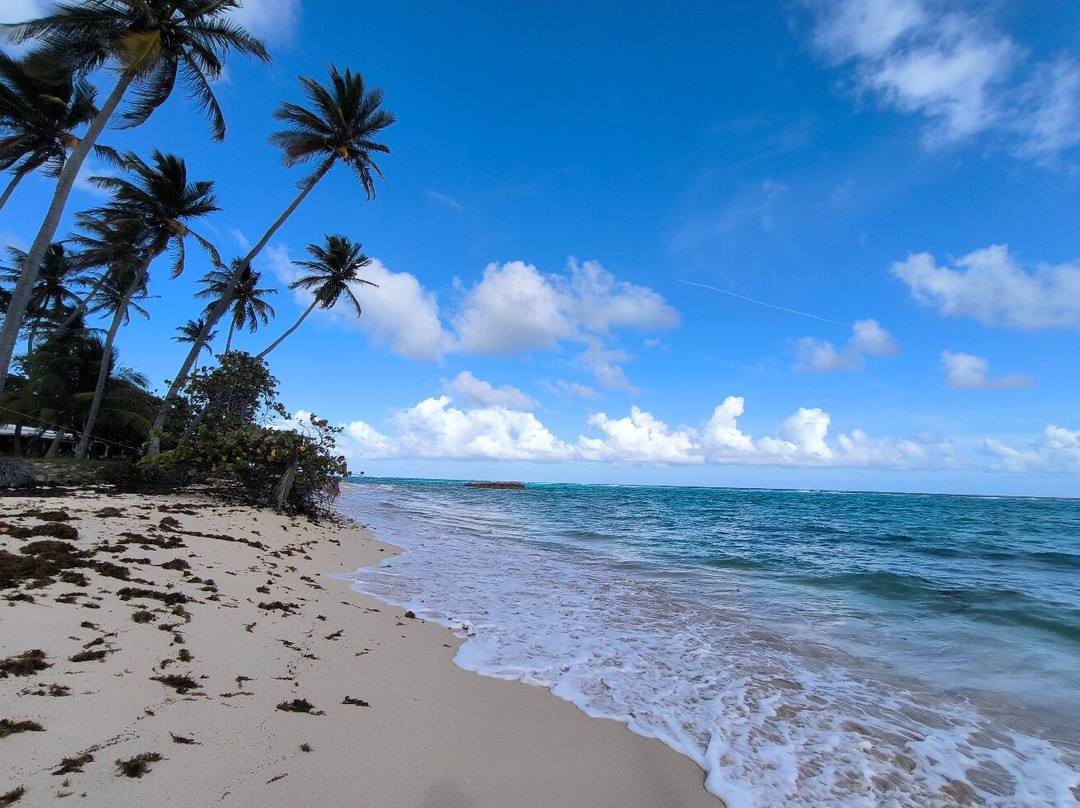 Feuillere Beach-Capesterre必去景点