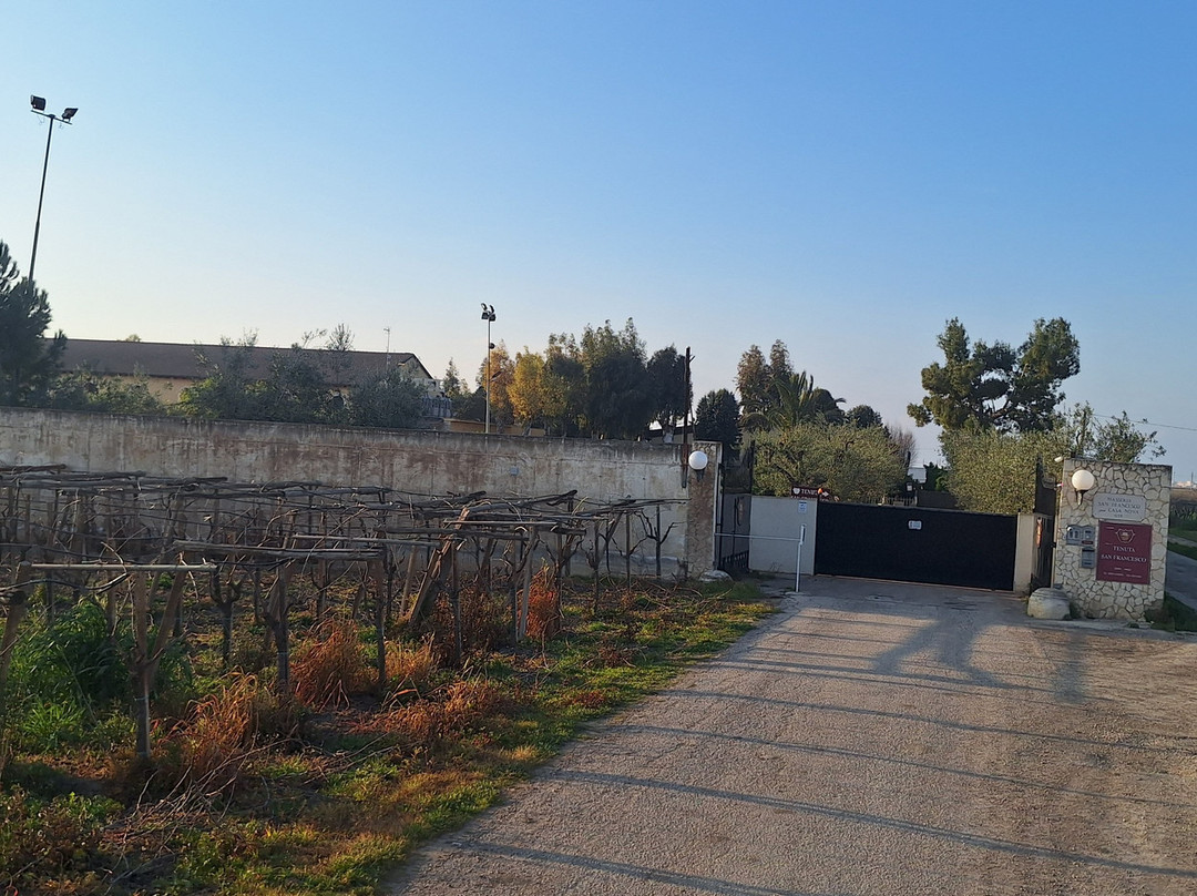 特努特圣弗朗西斯科酒店主图