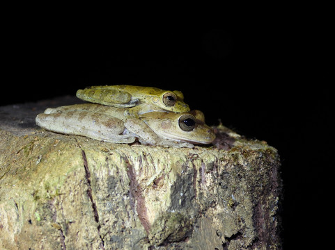 0S3 Private Tours-哈科必去景点