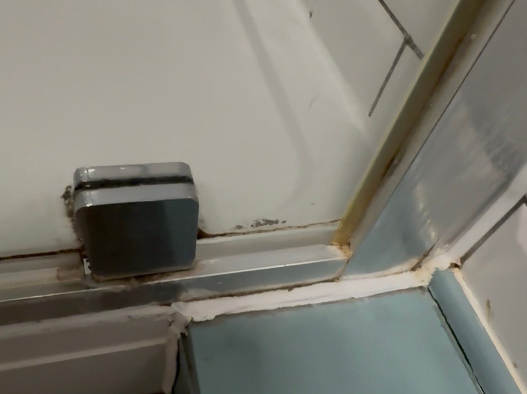 羽毛酒店 - 格林国王旅馆主图