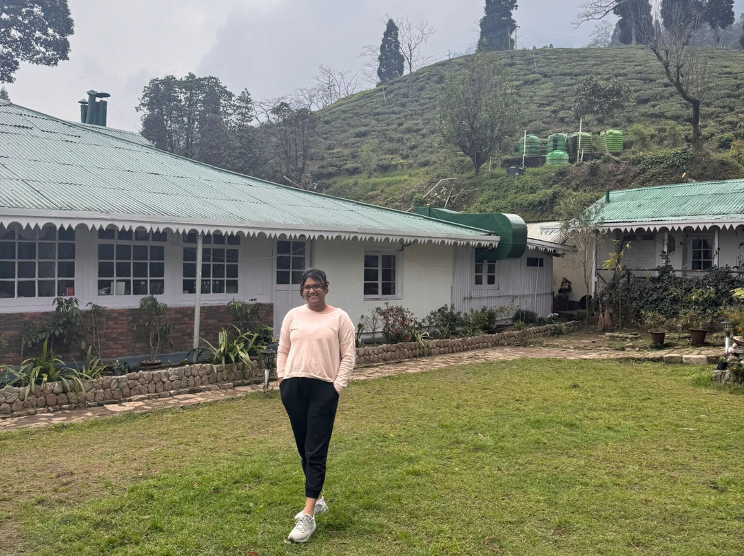 Yule Tea Retreat主图