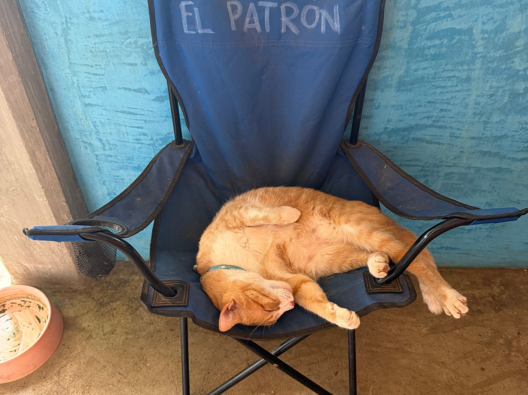 Sweet Retreats Casa Chango-埃斯孔迪多港必去景点