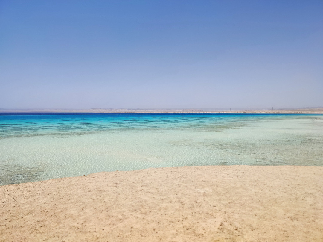 Marsa Alam Online-马萨阿拉姆必去景点