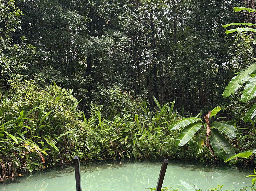 Jalapão Com Gui ecoturismo e aventura-Palmas必去景点