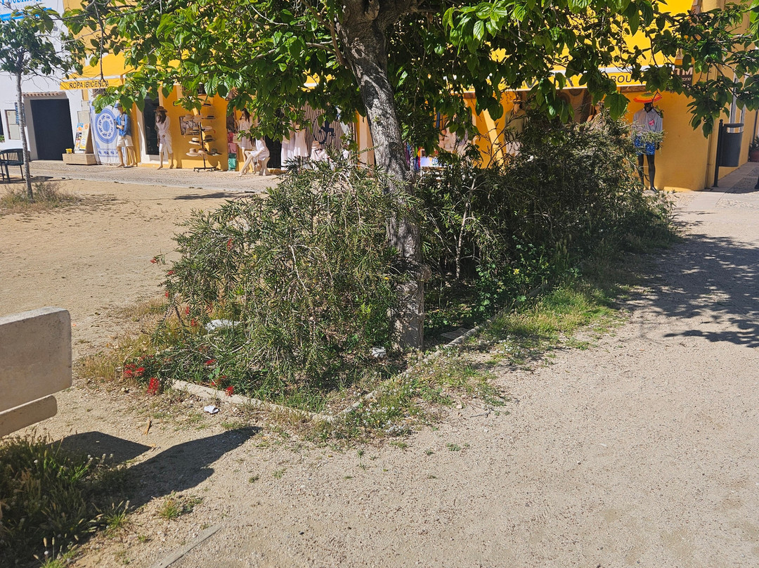 塔巴尔卡岛-圣波拉必去景点