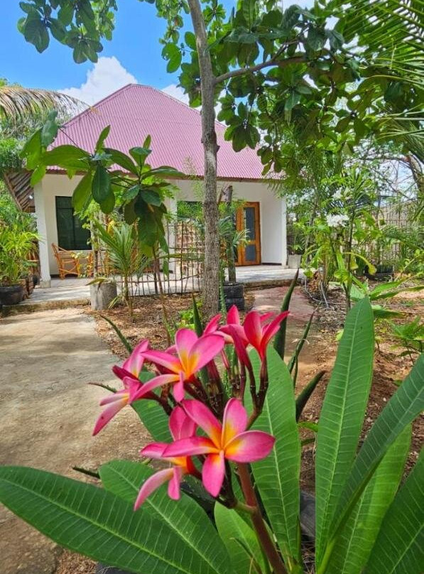 Z Village Lodge Paje