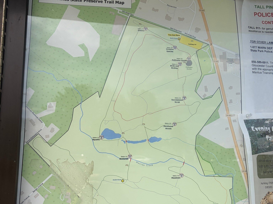 Tall Pines State Preserve-Sewell必去景点