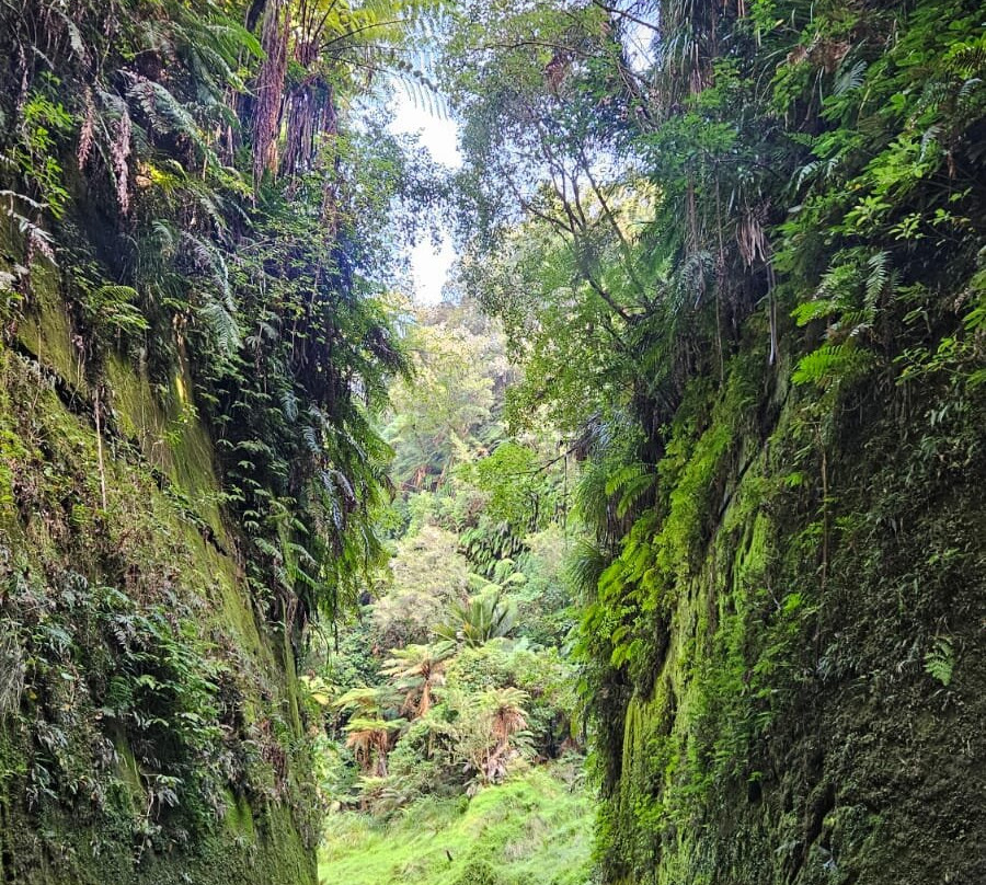 Canoe Safaris-奥阿库尼必去景点