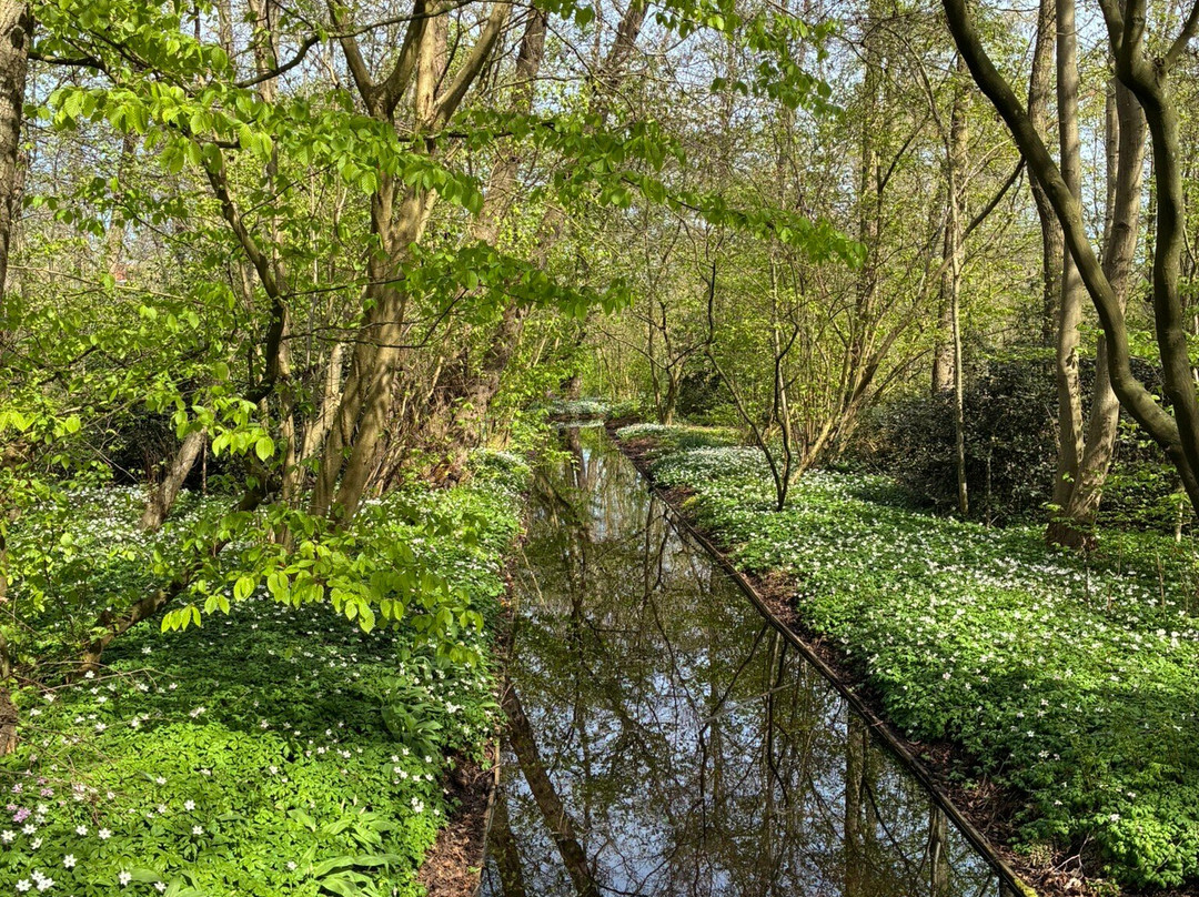 De Braak-阿姆斯特尔芬必去景点