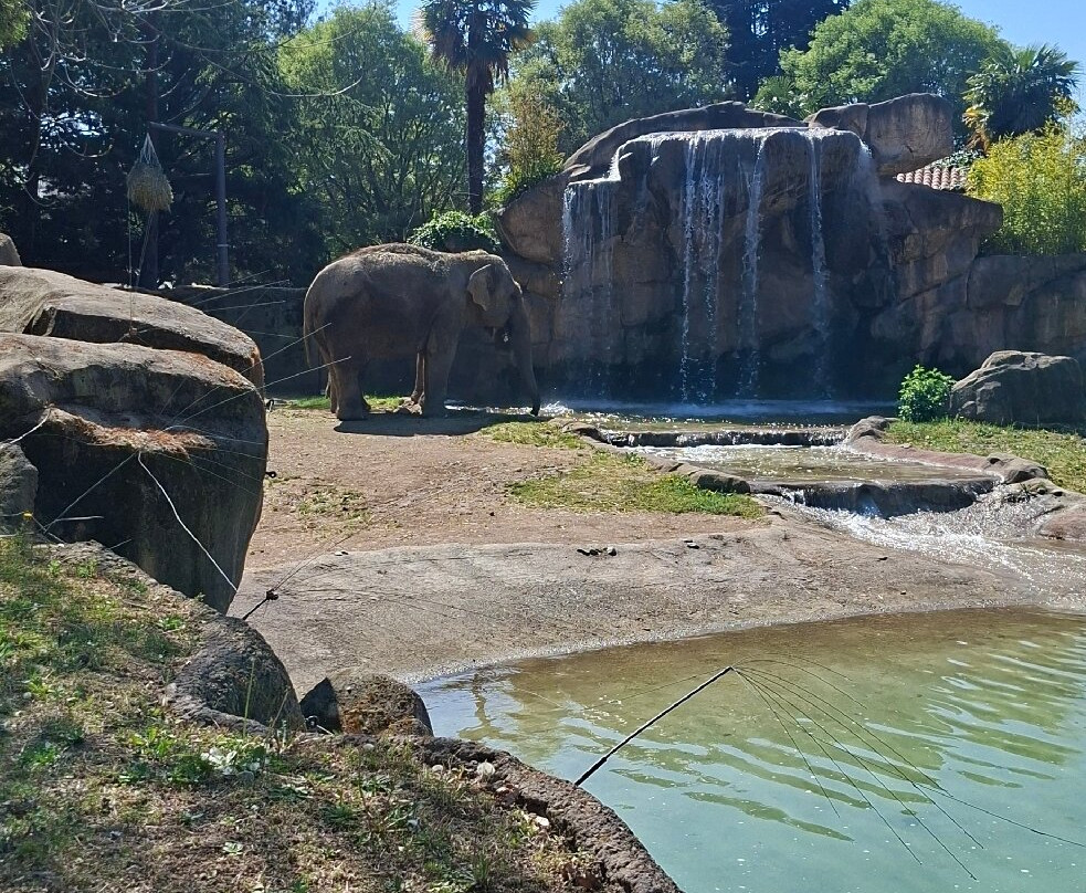 Parco Faunistico Le Cornelle-Valbrembo必去景点