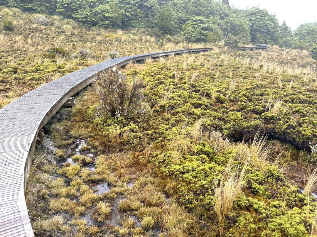 Waitonga Falls Track-奥阿库尼必去景点