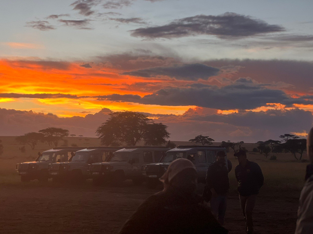 Nyssa Balloon Safaris-Seronera必去景点