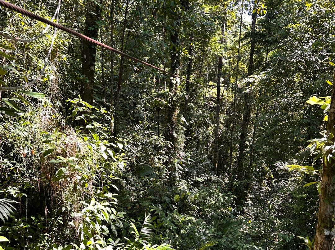 Safari Adventures-哥斯达黎加安东尼奥国家公园必去景点