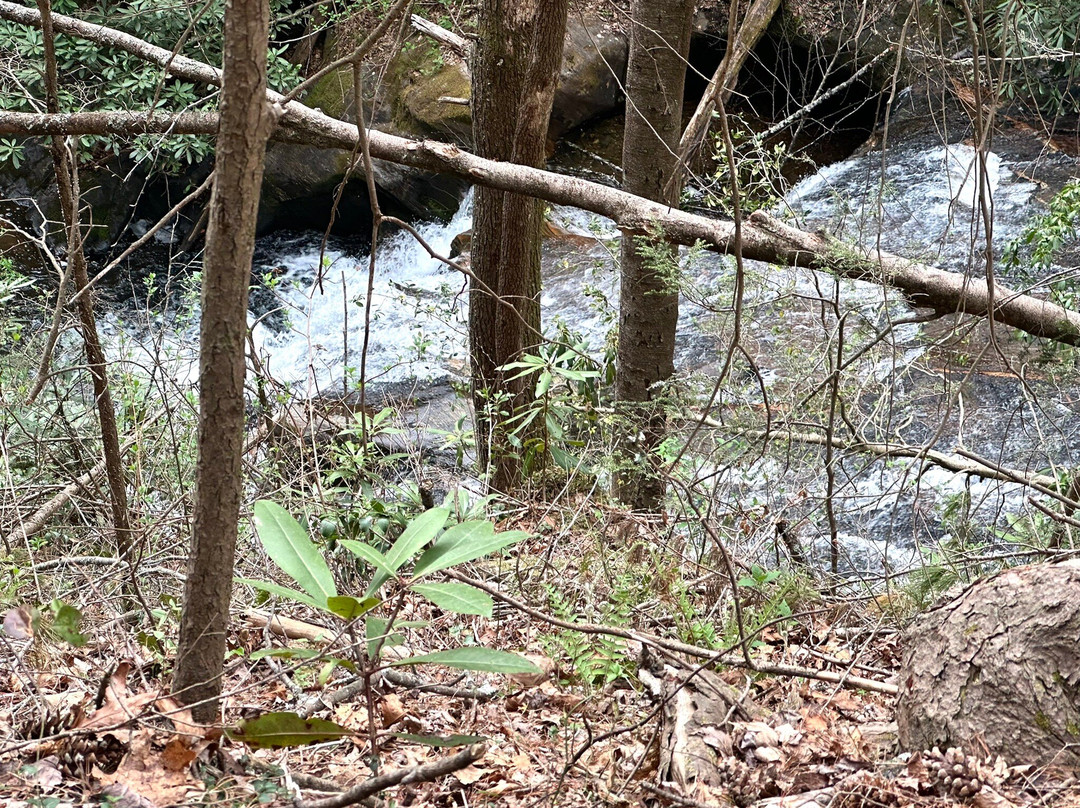 Dukes Creek Falls Trail-海伦必去景点