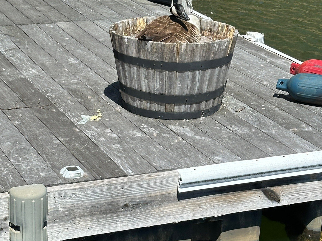 Lake Glenville Scenic Waterfall Cruises-Cashiers必去景点