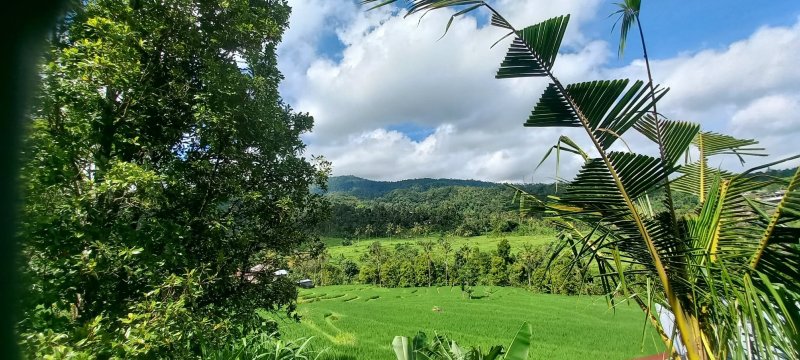 玛哈山度假村 by Mahaprana 体验-旅行者