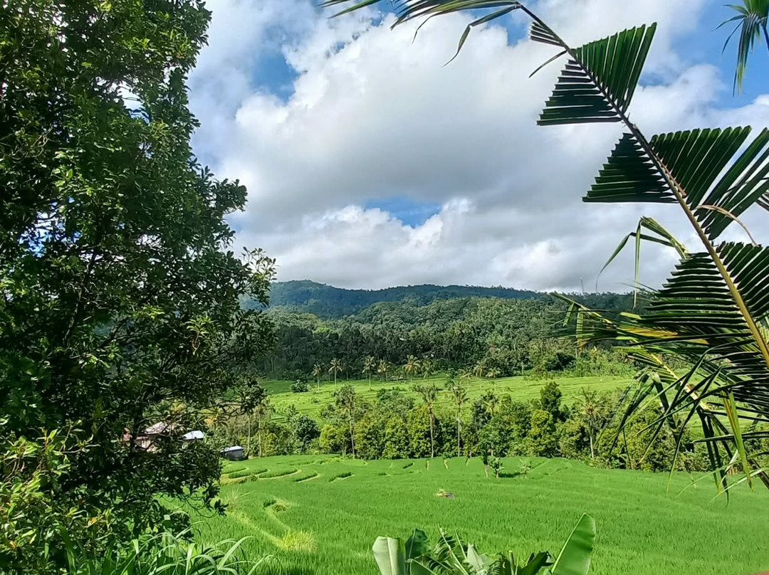 玛哈山度假村 by Mahaprana 体验主图