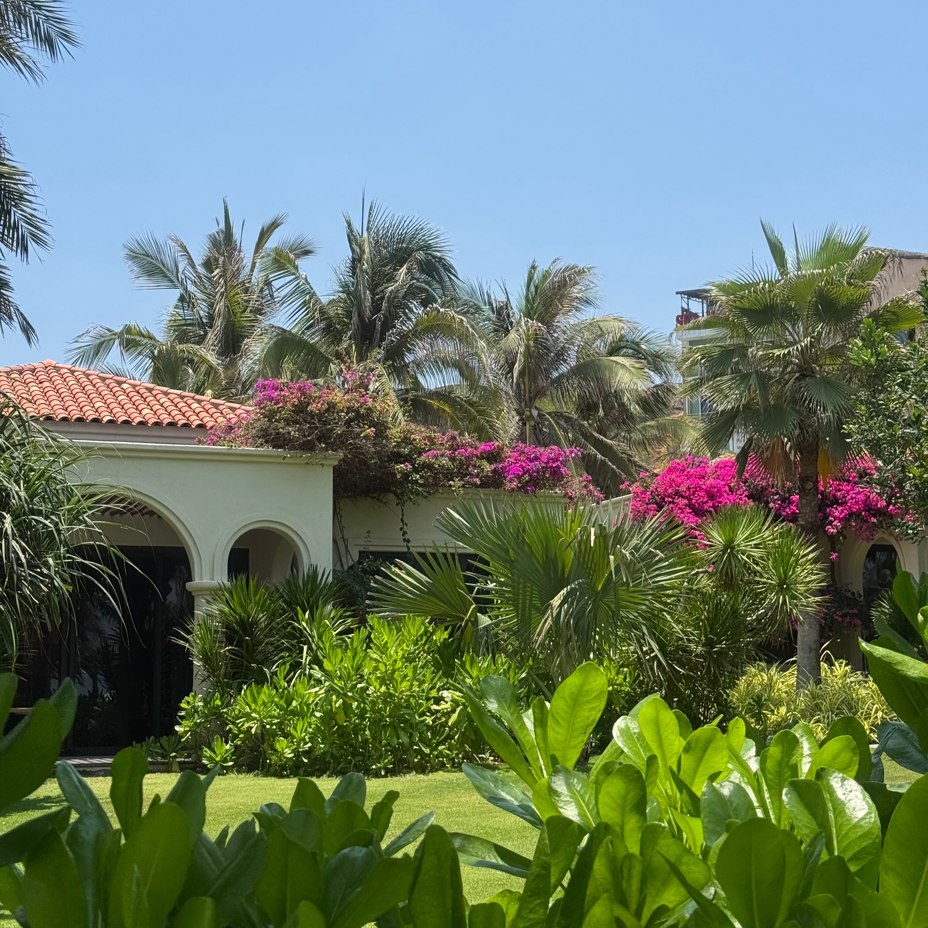 丽笙藩切度假村-旅行者