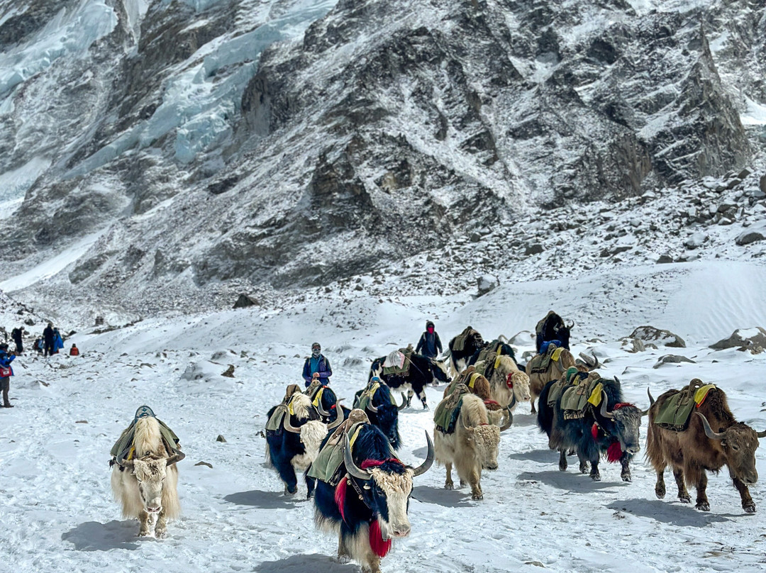 Tramping Himalaya Adventures Pvt. Ltd.-加德满都必去景点