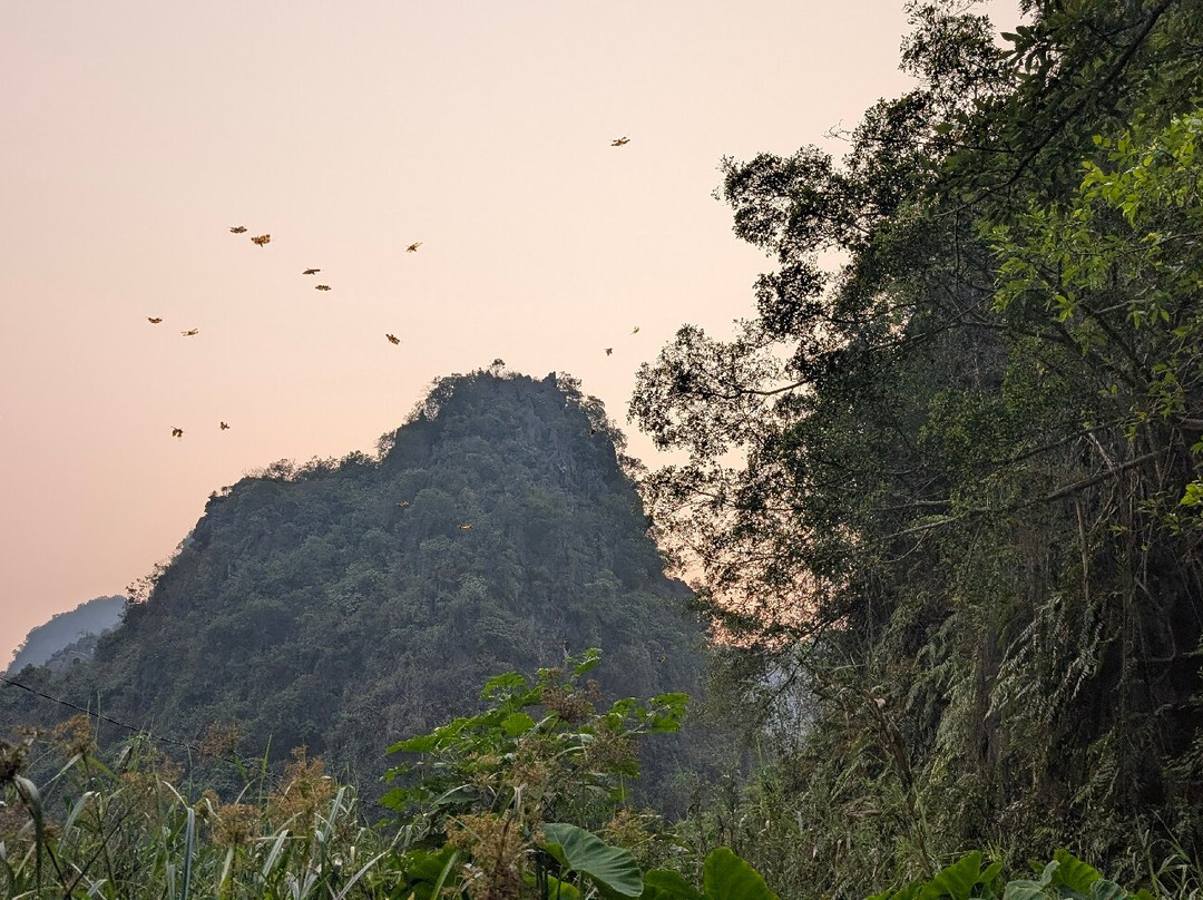 Dundj Valley-宁平必去景点
