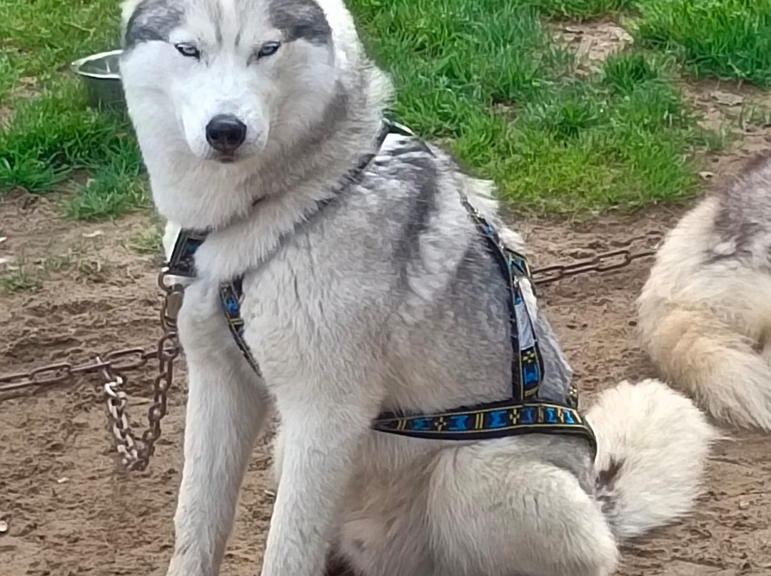 Latitude Nordique-Braslou必去景点