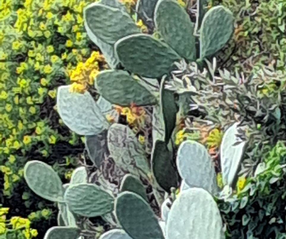 Sentiero Vernazza a Corniglia-韦尔纳扎必去景点