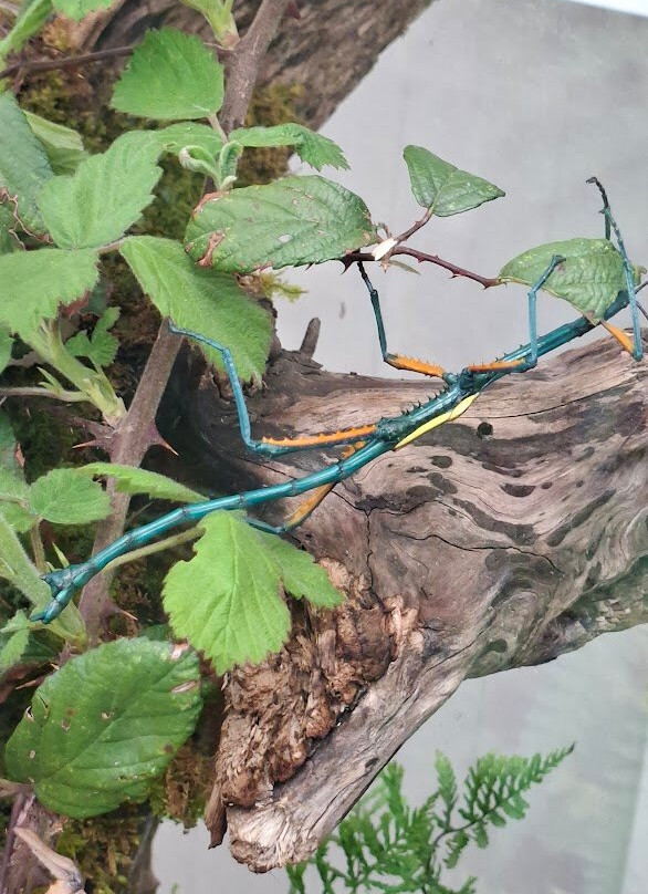 Casa delle Farfalle-Bordano必去景点