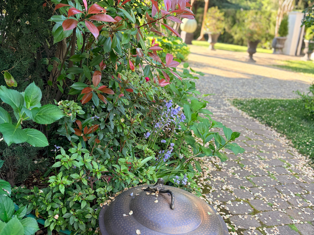 登巴尔屋旅馆 - 活动酒店主图