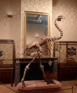 Art Zoo Museum景点门票图片