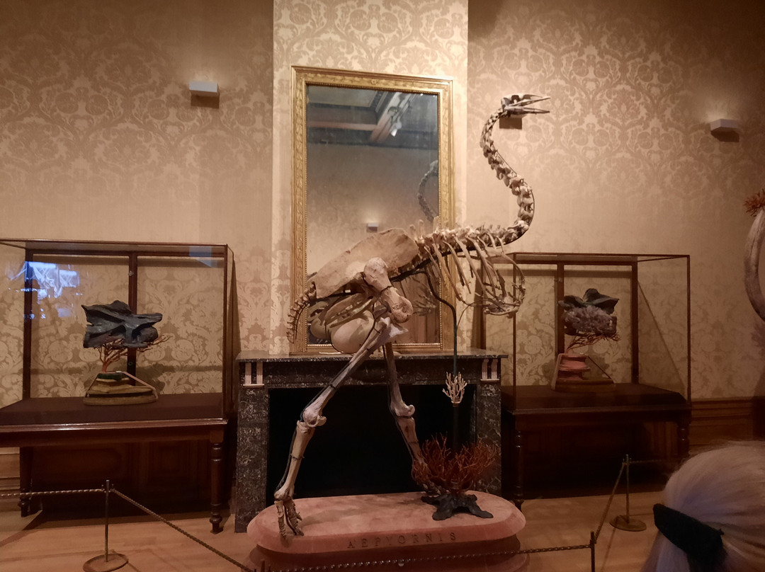 Art Zoo Museum-阿姆斯特丹必去景点