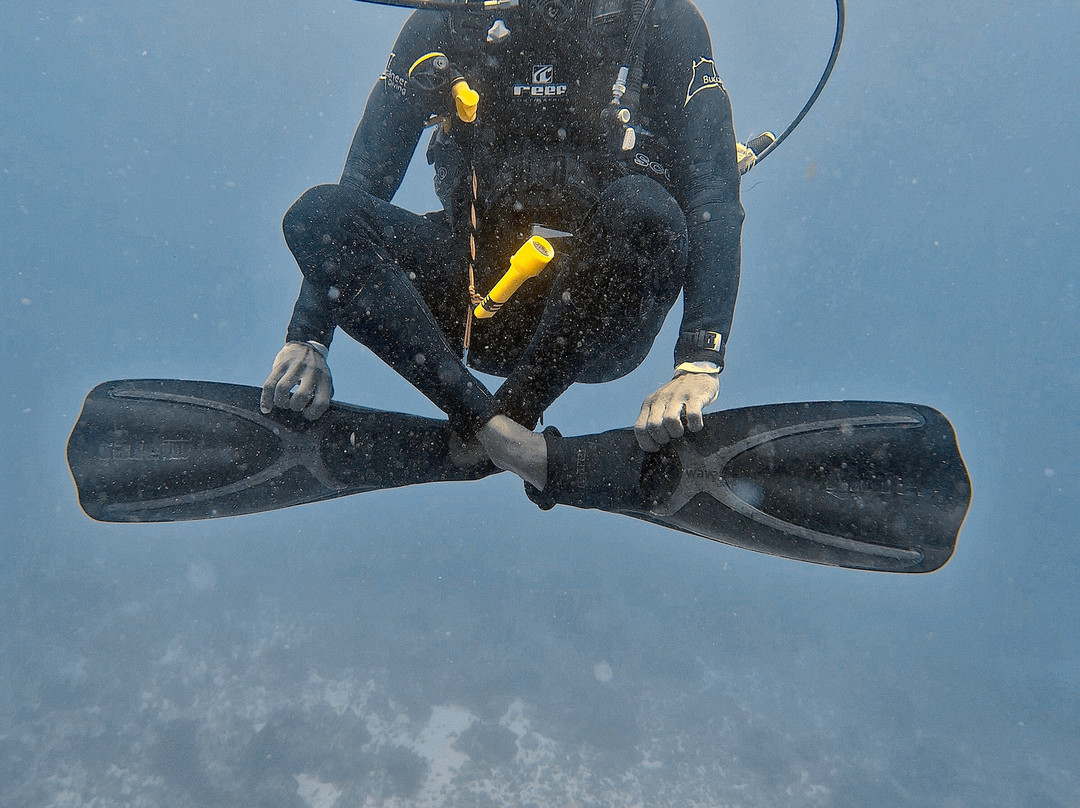 Buccaneer Diving-帕杰必去景点