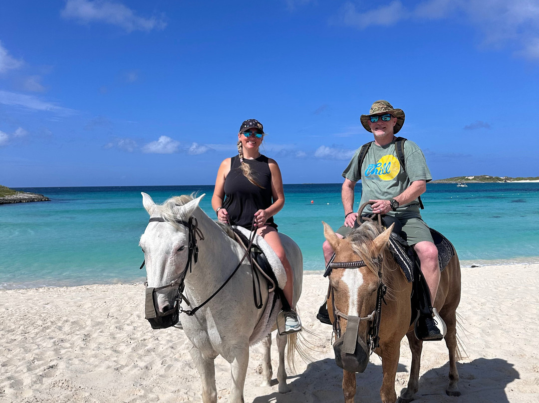 Seaside Stables Anguilla-West End Village必去景点