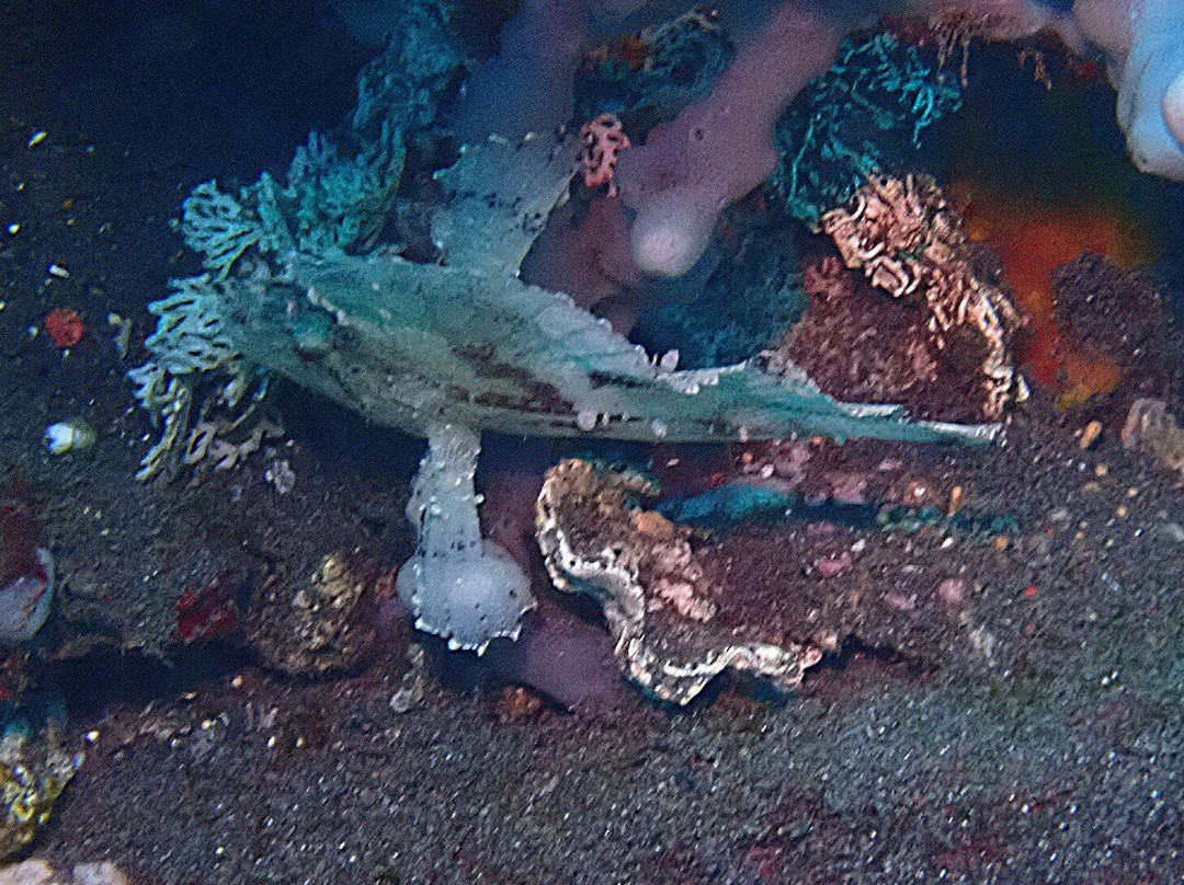 Abyss Dive Center Bali-艾湄湾必去景点