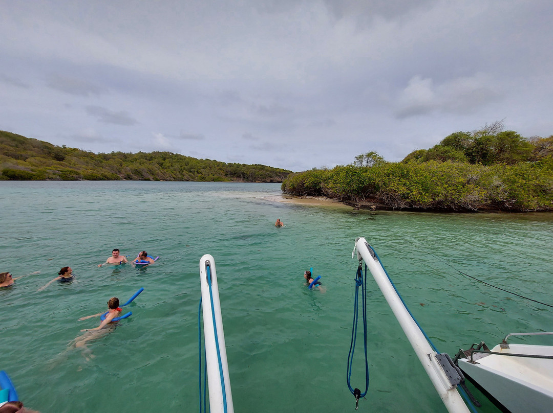 Les Ballades du Delphis-Le Francois必去景点