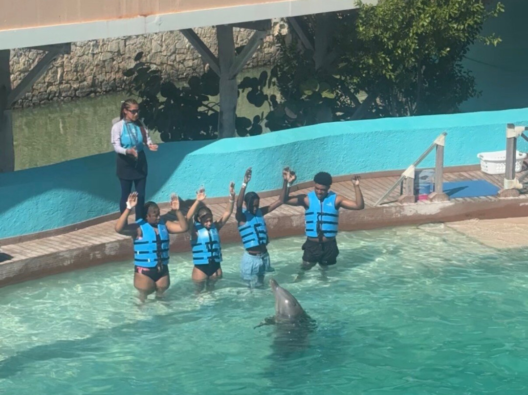 互动式水族馆-坎昆必去景点