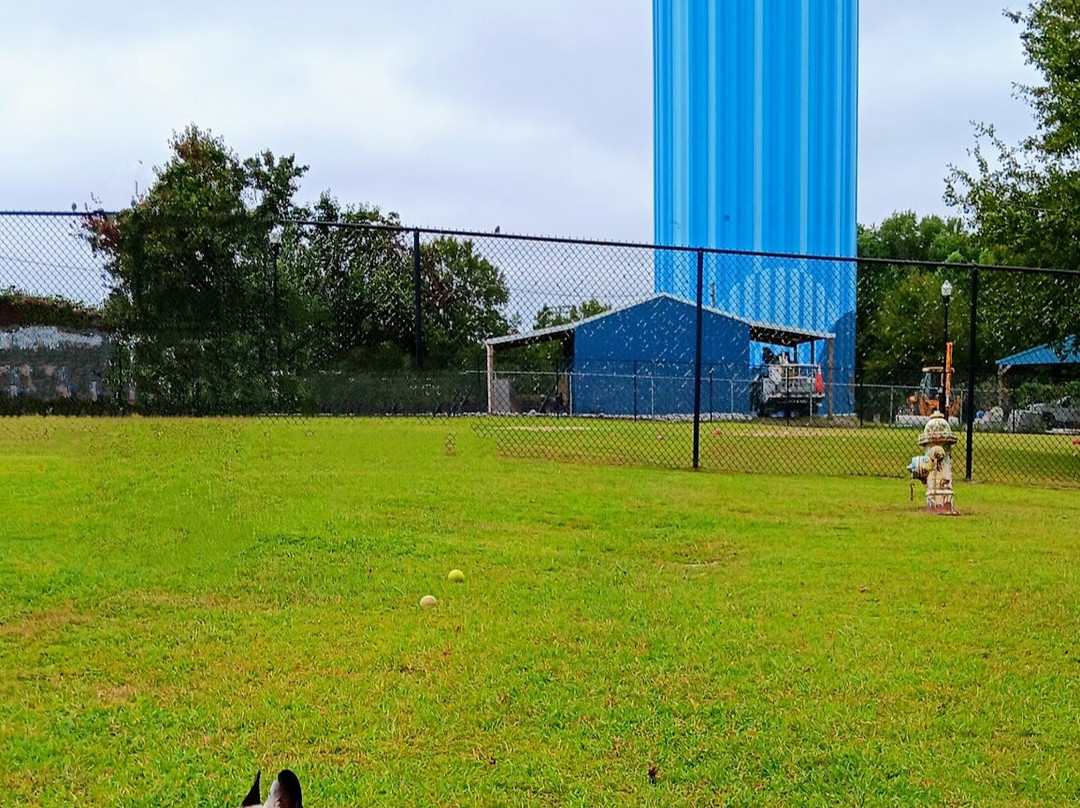 Lexington Paw Park-列克星敦必去景点