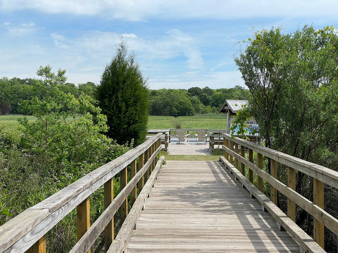 Caw Caw Interpretive Center-Ravenel必去景点