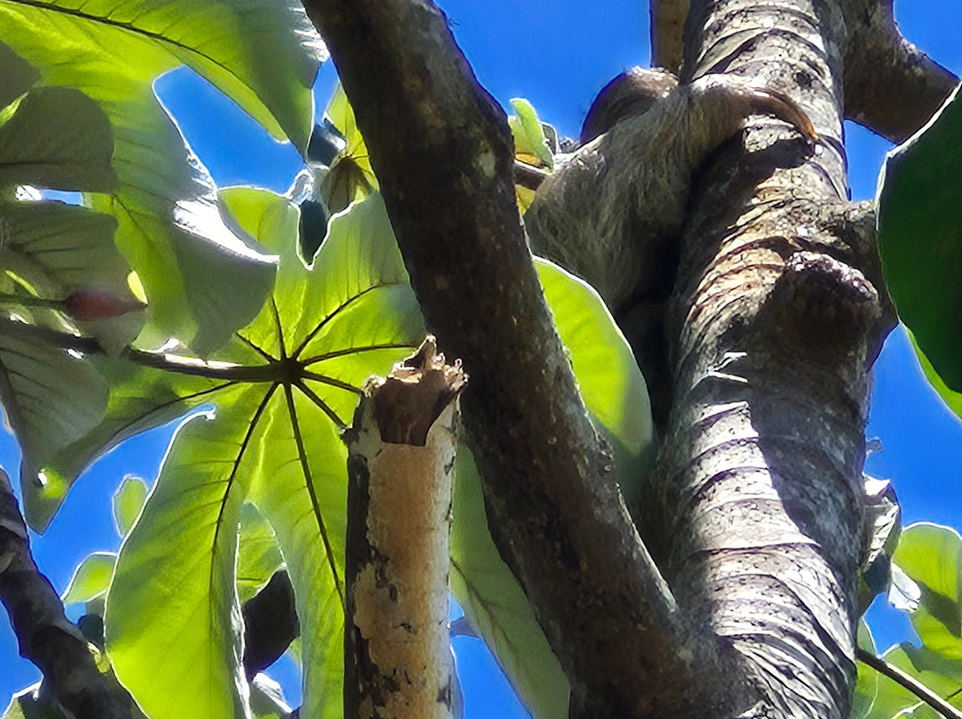 西帕帕加约酒店-限成人-全包主图