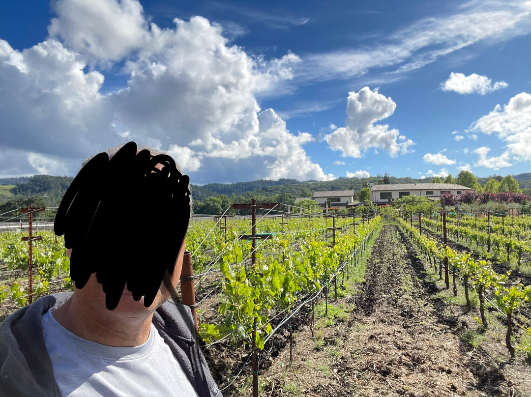 Tedeschi Family Winery-卡利斯托加必去景点