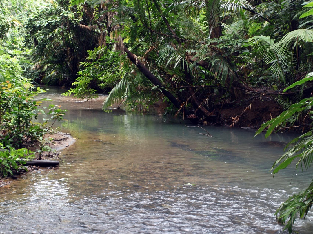 Ujung Kulon Trek-Carita必去景点